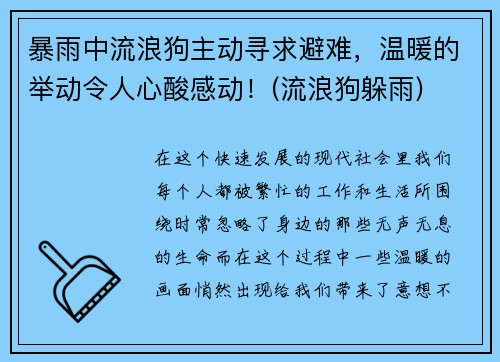 暴雨中流浪狗主动寻求避难，温暖的举动令人心酸感动！(流浪狗躲雨)